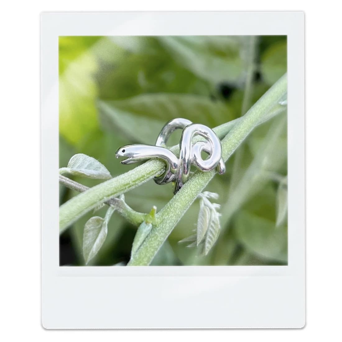 Kind Snake “Gibami” Ear Cuff  (私にだけやさしいヘビ・ギバミ）