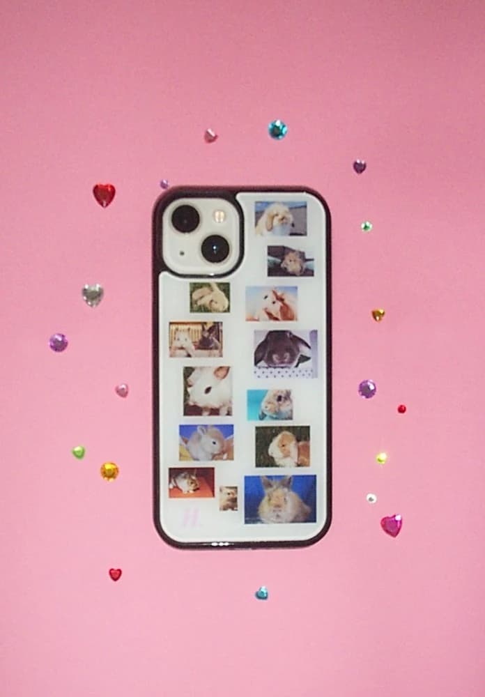 bunnys case