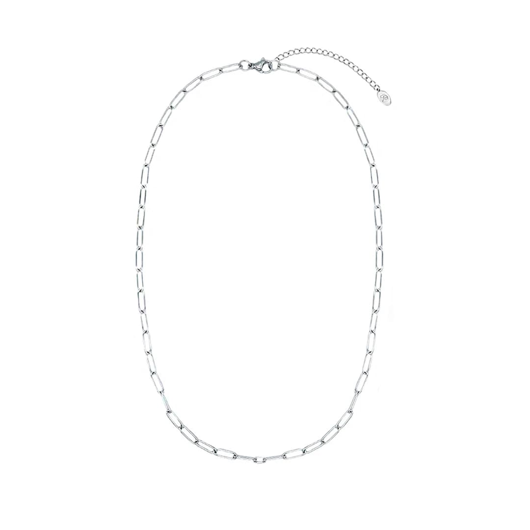 Clip Link chain Necklace