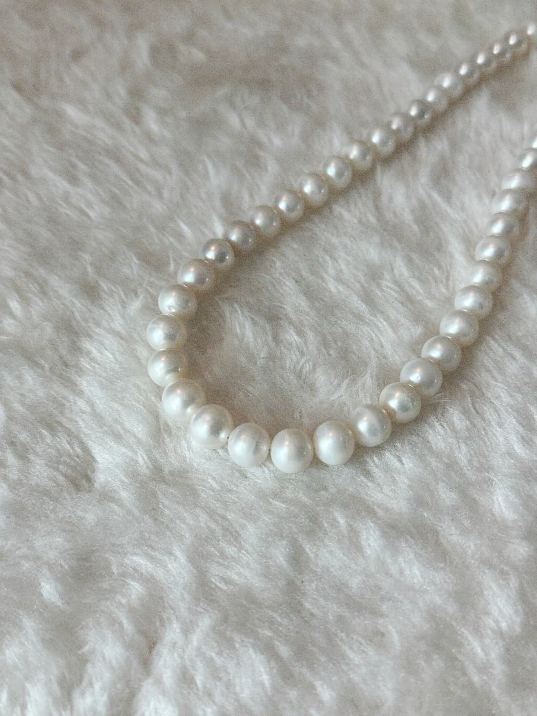 product img 5